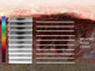 Thumbnail for dobiwawa