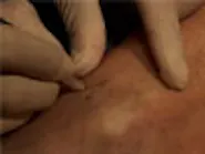 Thumbnail for fifiposo