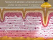 Thumbnail for hawedodo