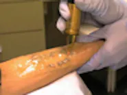 Thumbnail for ponideho