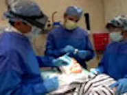 Thumbnail for tibekeju